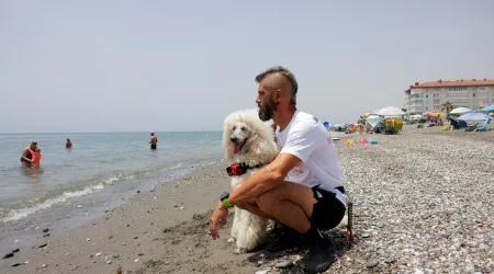 Caniche junta-se a equipa de nadadores-salvadores em praia de Málaga