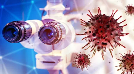 Descobertos na China novos vírus associados aos mortais Nipah e Hendra
