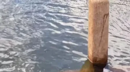 Cemitério submerso no Brasil aparece após 30 anos. Ora veja