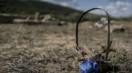 Massacre de Gukurahundi? Oposição critica "paródia da justiça"
