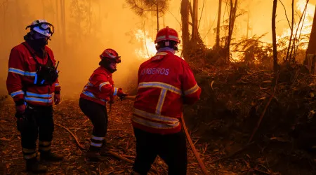 Incêndio em Aljustrel tem 2 frentes ativas e atingiu "grandes dimensões"