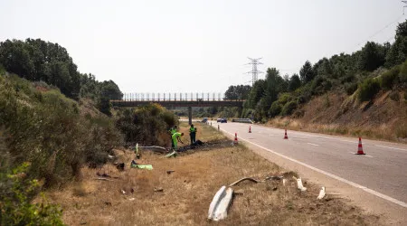 Morte de Diogo Jota: Polícia não exclui "possível excesso de velocidade"