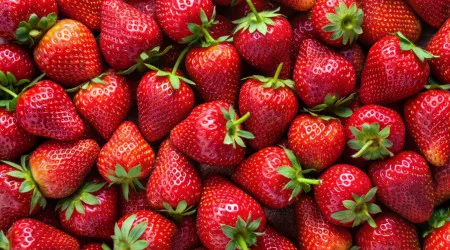 Três receitas frescas (e da época) para quem adora morangos