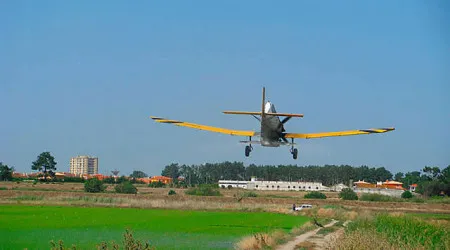 Queda de avioneta provoca um ferido grave em Benavente 