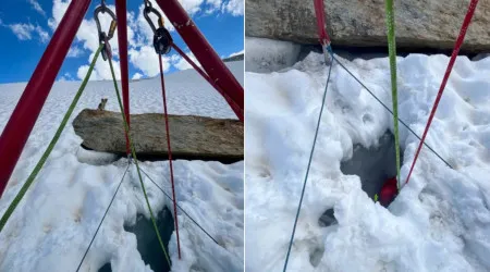 "Herói de 4 patas". Chihuahua 'salva' dono que caiu em fenda de glaciar