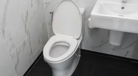 É por isto que deve começar a colocar gelo na sanita