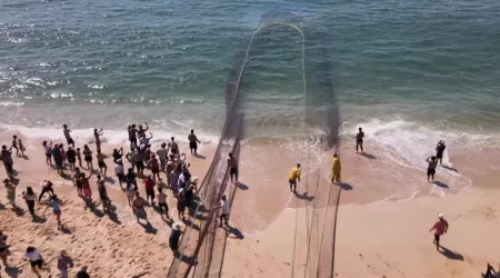 Pescadores salvam golfinhos que ficaram presos à procura de comida. Veja