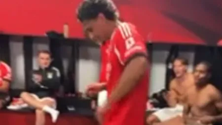 imagem do artigo