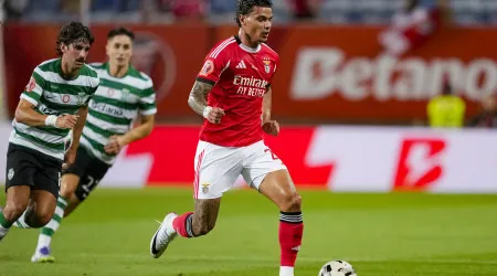 imagem do artigo