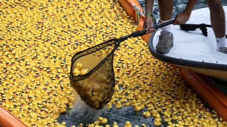 imagem do artigo
