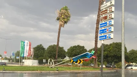 Trovoada em Elvas causa quedas de árvores e inundações