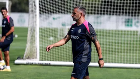 imagem do artigo
