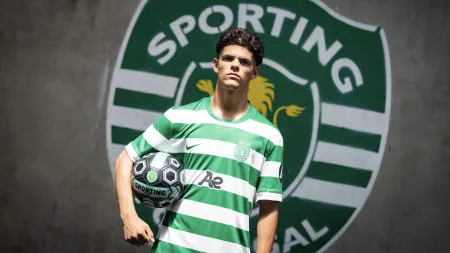 imagem do artigo