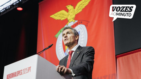 "Com Rui Costa, Benfica tem desgoverno desportivo. É impossível ganhar"