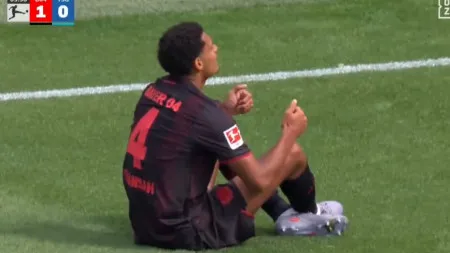 imagem do artigo