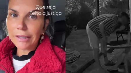 imagem do artigo
