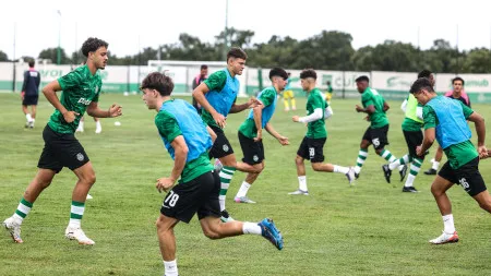 imagem do artigo