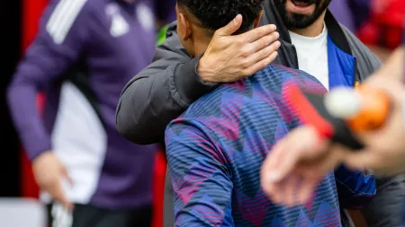 imagem do artigo