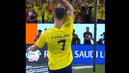 imagem do artigo