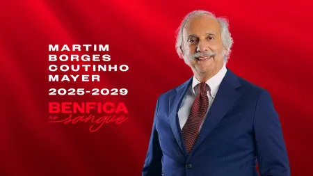 imagem do artigo