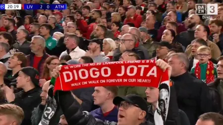 imagem do artigo