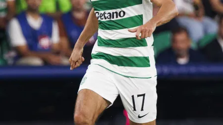 imagem do artigo