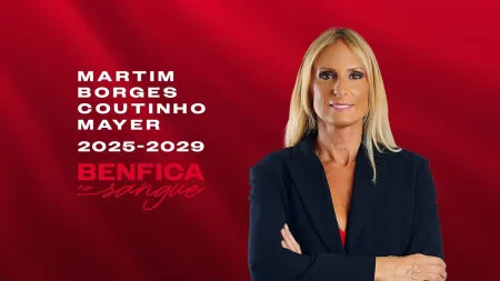 imagem do artigo