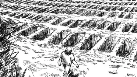 imagem do artigo