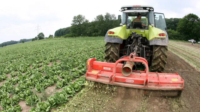OCDE e FAO estimam queda da produção agrícola este ano e em 2027