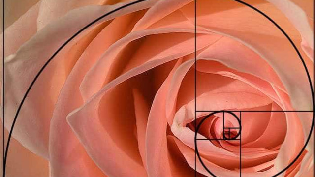 Razão Áurea, a divina proporção presente em tudo