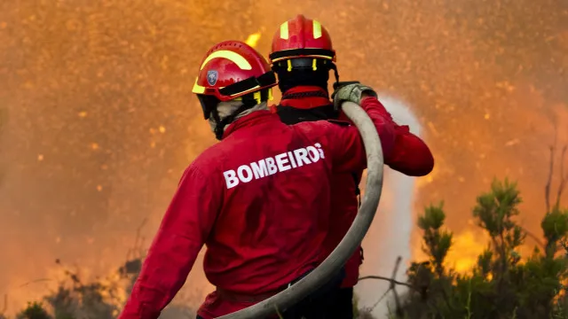 
                    Fogo continua a lavrar em Odemira com uma frente ativa
                