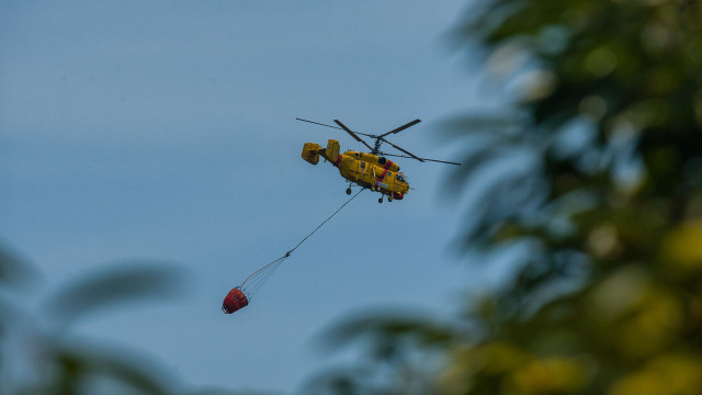Helicóptero caiu em Góis com dois tripulantes. Um deles está ferido