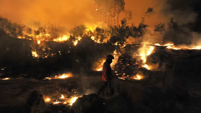 
                    Dispositivo de combate aos incêndios reforçado, mas área ardida duplicou
                