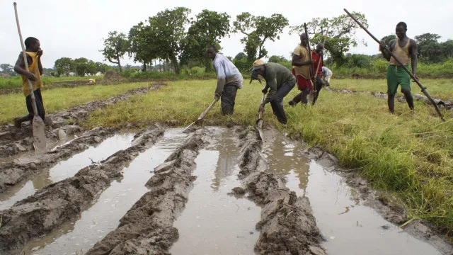 Governo moçambicano pede aposta no crédito a privados para agricultura e pescas