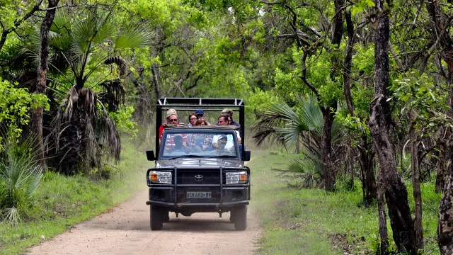 
                    Parque da Gorongosa prestou serviços de saúde a mais de 160 mil pessoas
                