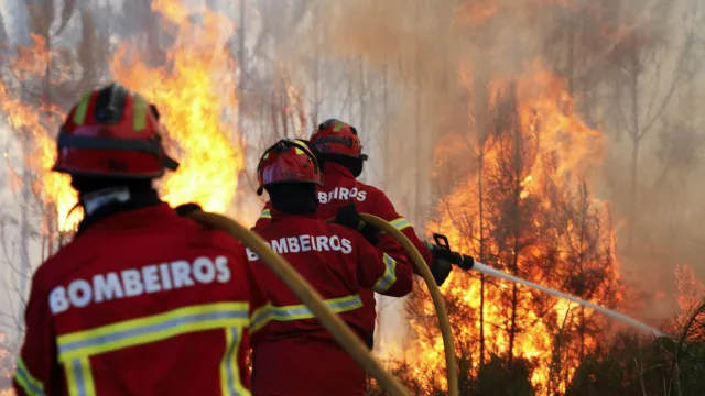 
                    Dispositivo de combate a fogos passa a ter no terreno 13.000 operacionais
                