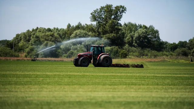 Aumento dos custos? MinistÃ©rio da Agricultura apoia Madeira e AÃ§ores