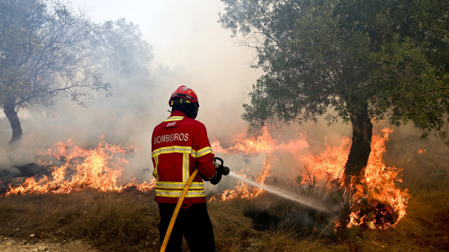 Vários bombeiros feridos no combate ao incêndio em Alcabideche