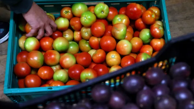 
                    Exportações de frutas, legumes e flores caem 3,5% até junho
                