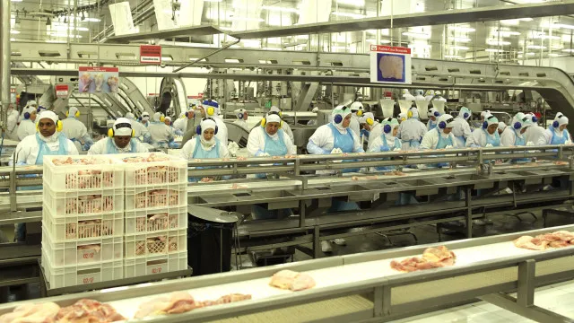 
                    Indústria da carne no Brasil dá férias após se esgotar quota chinesa
                