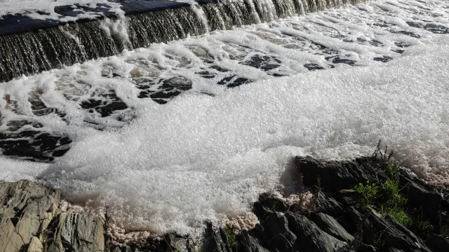 
                    Movimento denuncia ressurgimento de poluição no Tejo e exige medidas
                