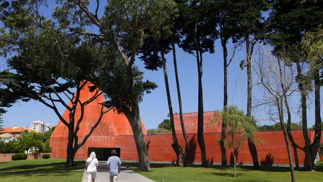 
                    Casa das Histórias expõe processo de restauro inédito de Paula Rego
                