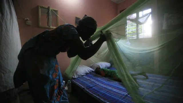 Malária matou 16 pessoas na província moçambicana de Sofala este ano