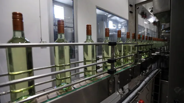 ComissÃ£o prevÃª mais produÃ§Ã£o de vinho e alta qualidade no Alentejo