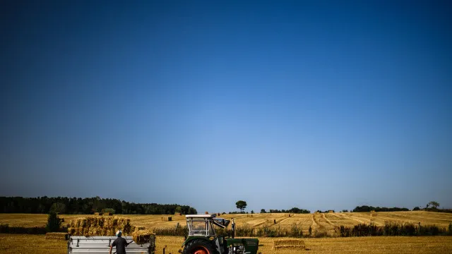 Comissão Europeia propõe apoio para agricultores comprarem adubos