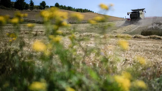 Preços dos adubos afetam agricultores, mas Bruxelas afasta escassez