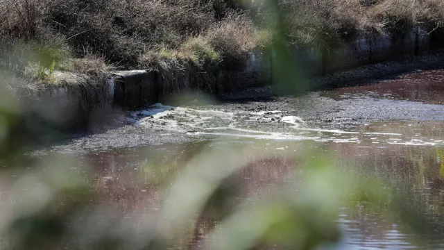 
                    Lesados reclamam 256 mil euros por danos após avaria que poluiu rio Lis
                