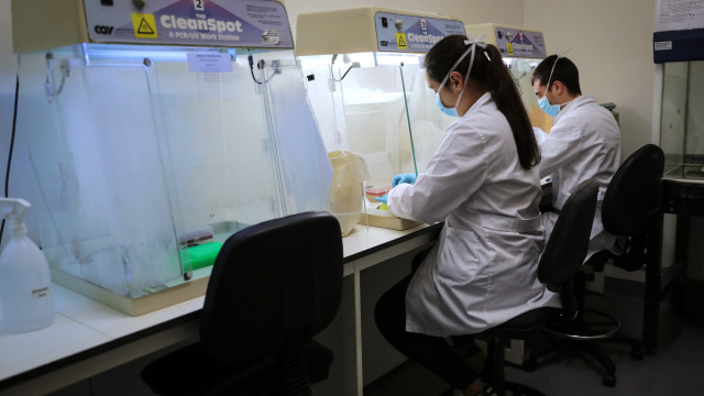 Estudo liga bactérias do intestino e da boca a traços de psicopatia