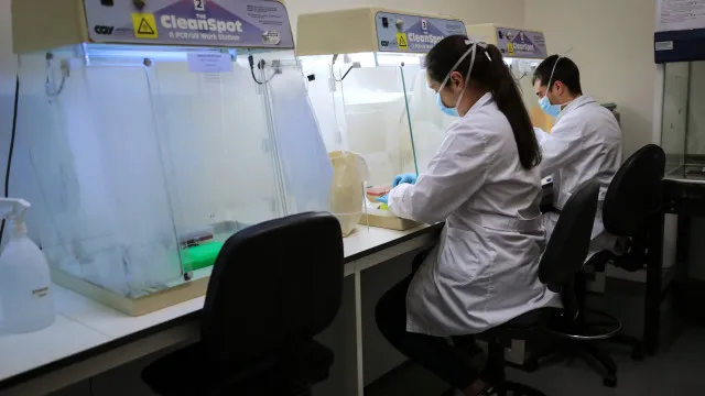 
                    Traços de psicopatia podem ser associados ao intestino? Ciência explica
                