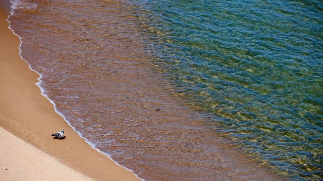 
                    Ambientalistas questionam continuação de obras em praia de Cabo Verde
                